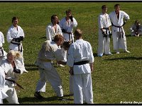 2011 06 26 4185-border